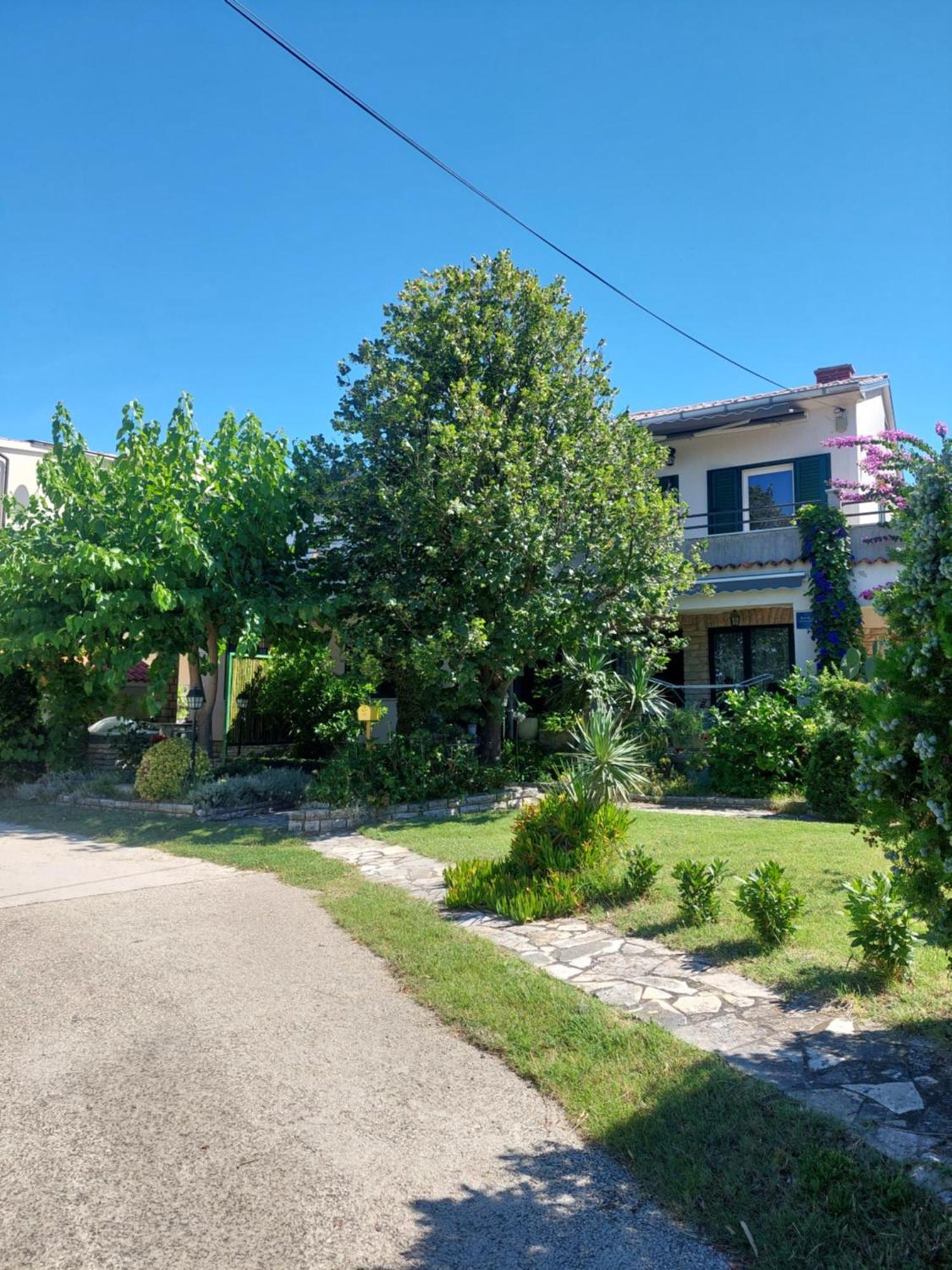 Apartment Roglic ราบ ภายนอก รูปภาพ